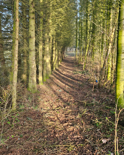 NATUREN SOM FACILITATOR – AFLÆRING